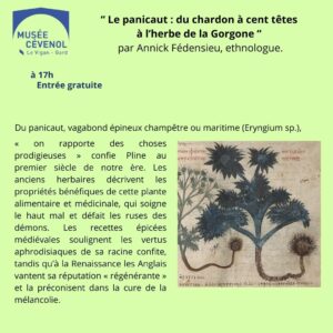 A. Fédensieu