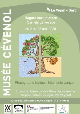 Regard sur un arbre Carnets de voyage
